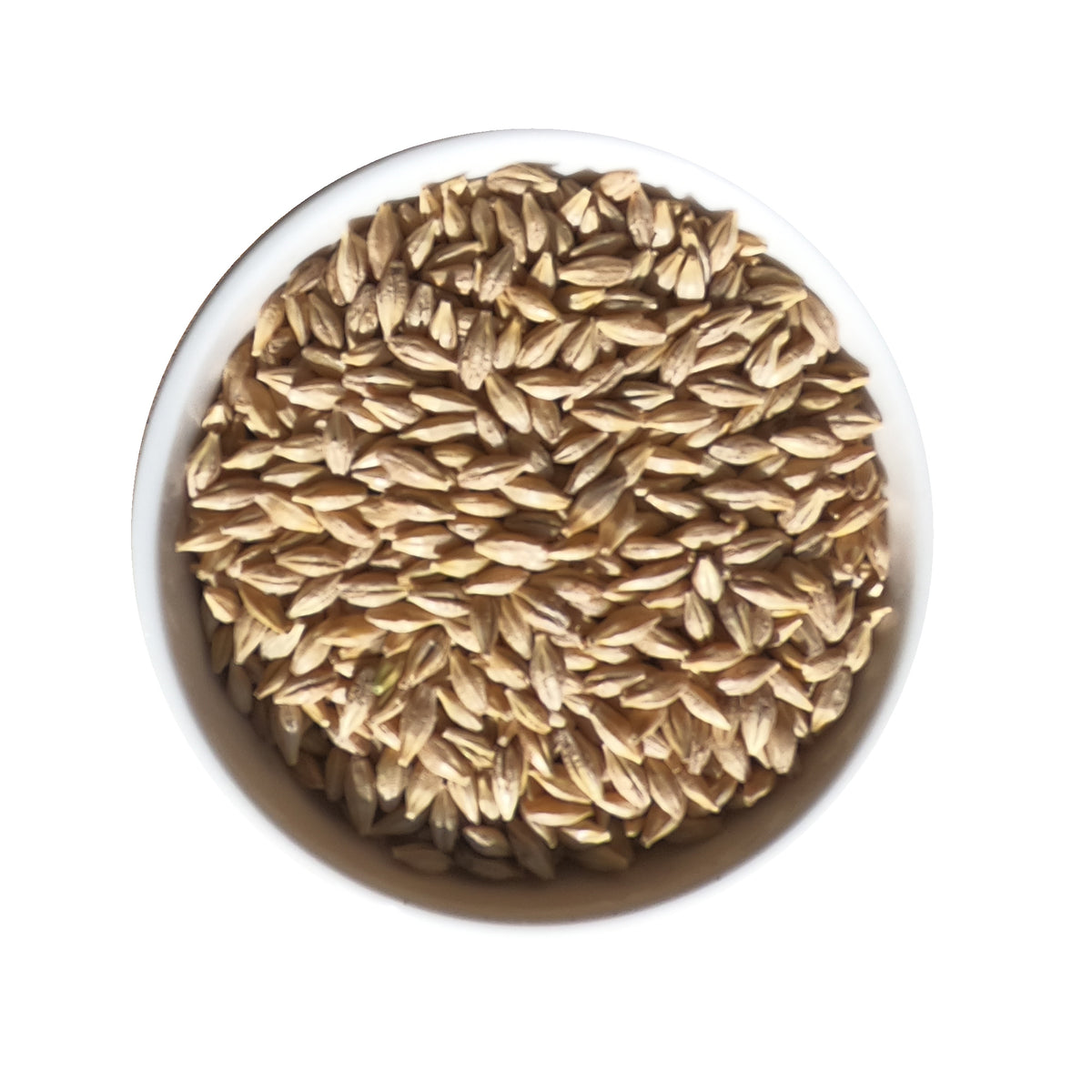 Raw Barley