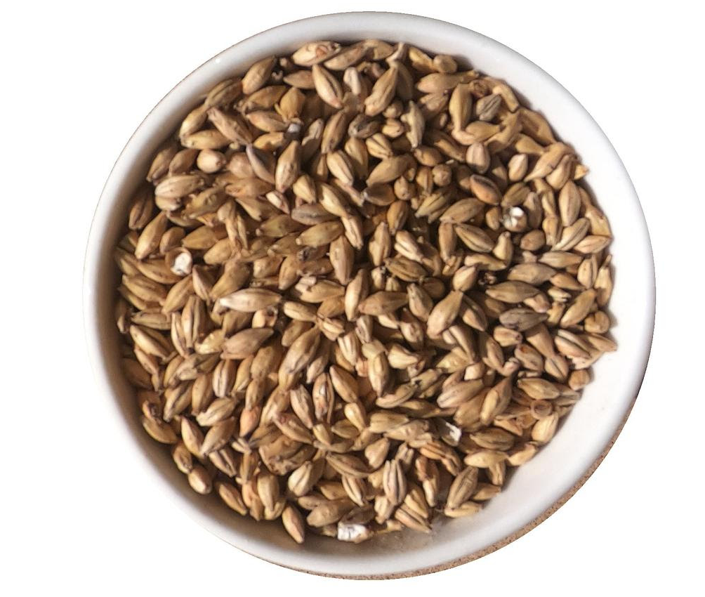 Malt of the Month April 2023 Kananaskis Red Shed Malting